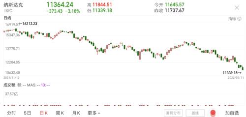 暴跌77%！女版巴菲特再度翻車，最牛市場正上演史詩級大回撤